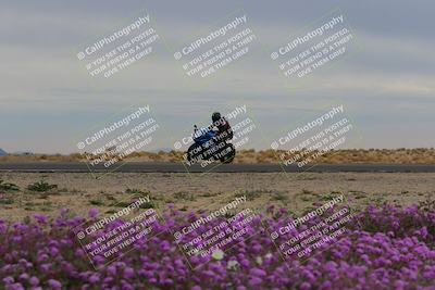 media/Jan-14-2023-SoCal Trackdays (Sat) [[497694156f]]/Turn 14 Exit Bloomig (145pm)/